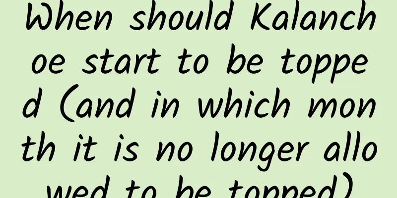 When should Kalanchoe start to be topped (and in which month it is no longer allowed to be topped)