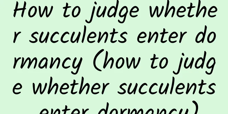 How to judge whether succulents enter dormancy (how to judge whether succulents enter dormancy)