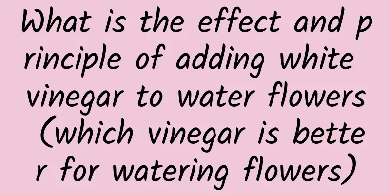 What is the effect and principle of adding white vinegar to water flowers (which vinegar is better for watering flowers)