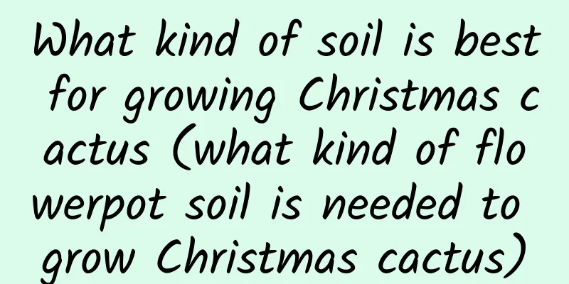 What kind of soil is best for growing Christmas cactus (what kind of flowerpot soil is needed to grow Christmas cactus)