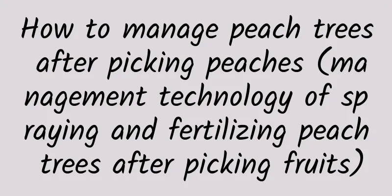 How to manage peach trees after picking peaches (management technology of spraying and fertilizing peach trees after picking fruits)