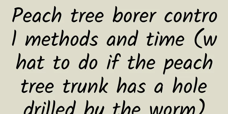 Peach tree borer control methods and time (what to do if the peach tree trunk has a hole drilled by the worm)