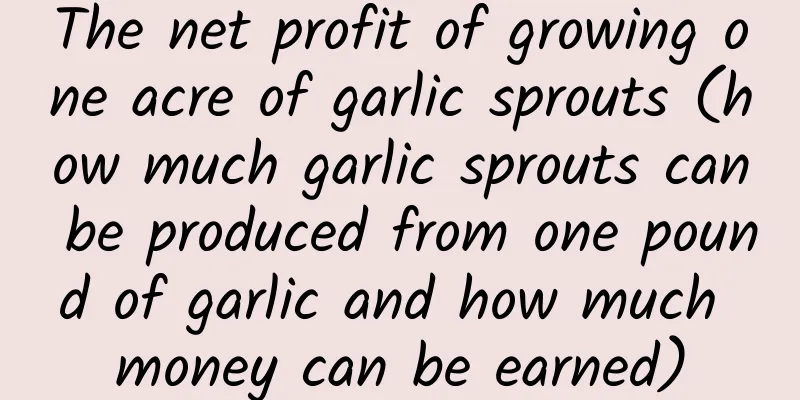 The net profit of growing one acre of garlic sprouts (how much garlic sprouts can be produced from one pound of garlic and how much money can be earned)