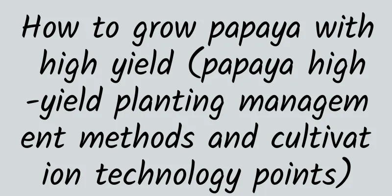 How to grow papaya with high yield (papaya high-yield planting management methods and cultivation technology points)