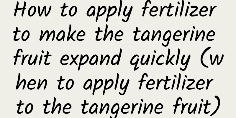 How to apply fertilizer to make the tangerine fruit expand quickly (when to apply fertilizer to the tangerine fruit)