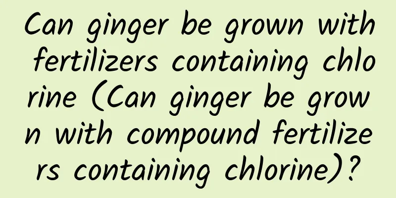 Can ginger be grown with fertilizers containing chlorine (Can ginger be grown with compound fertilizers containing chlorine)?