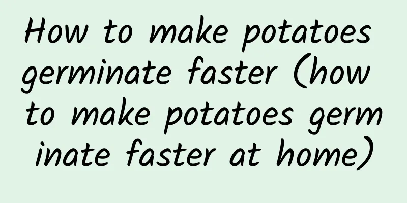 How to make potatoes germinate faster (how to make potatoes germinate faster at home)