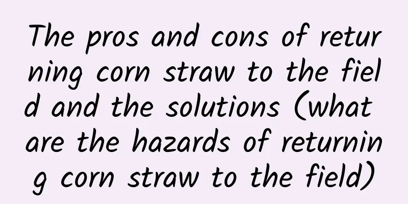 The pros and cons of returning corn straw to the field and the solutions (what are the hazards of returning corn straw to the field)