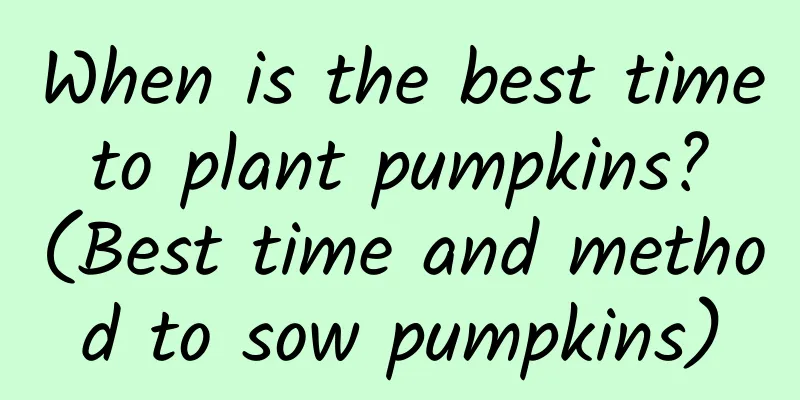 When is the best time to plant pumpkins? (Best time and method to sow pumpkins)