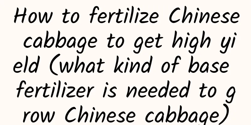 How to fertilize Chinese cabbage to get high yield (what kind of base fertilizer is needed to grow Chinese cabbage)