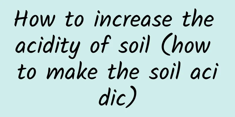 How to increase the acidity of soil (how to make the soil acidic)