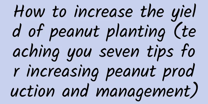 How to increase the yield of peanut planting (teaching you seven tips for increasing peanut production and management)