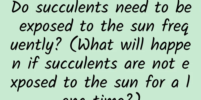 Do succulents need to be exposed to the sun frequently? (What will happen if succulents are not exposed to the sun for a long time?)