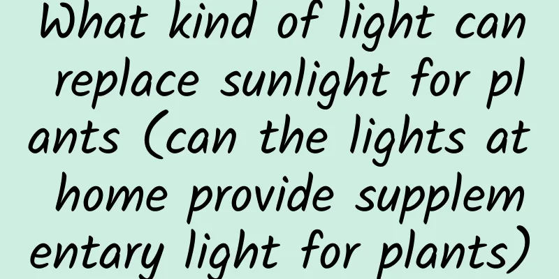 What kind of light can replace sunlight for plants (can the lights at home provide supplementary light for plants)