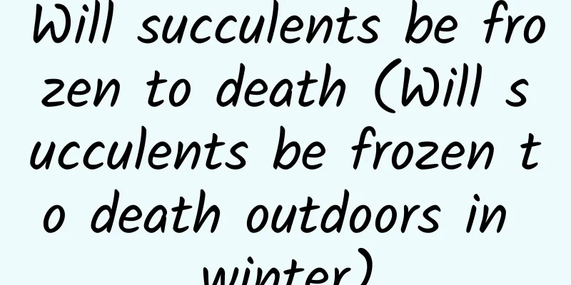 Will succulents be frozen to death (Will succulents be frozen to death outdoors in winter)