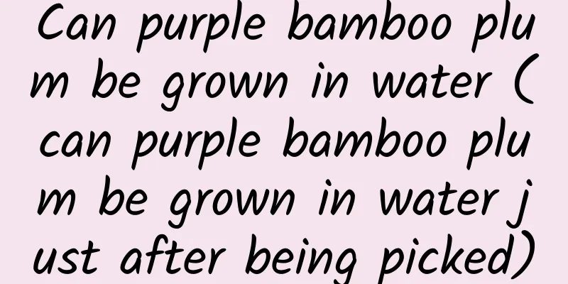 Can purple bamboo plum be grown in water (can purple bamboo plum be grown in water just after being picked)