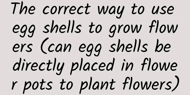 The correct way to use egg shells to grow flowers (can egg shells be directly placed in flower pots to plant flowers)