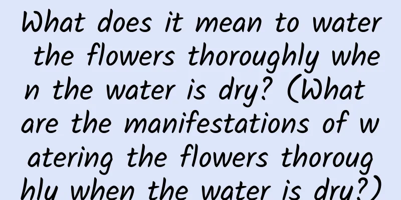 What does it mean to water the flowers thoroughly when the water is dry? (What are the manifestations of watering the flowers thoroughly when the water is dry?)