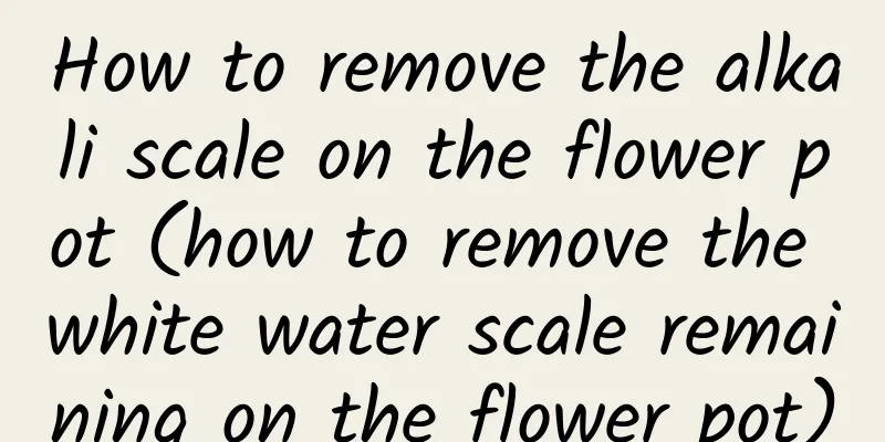 How to remove the alkali scale on the flower pot (how to remove the white water scale remaining on the flower pot)