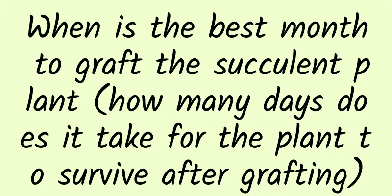 When is the best month to graft the succulent plant (how many days does it take for the plant to survive after grafting)