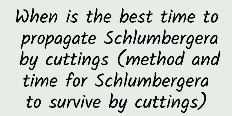 When is the best time to propagate Schlumbergera by cuttings (method and time for Schlumbergera to survive by cuttings)