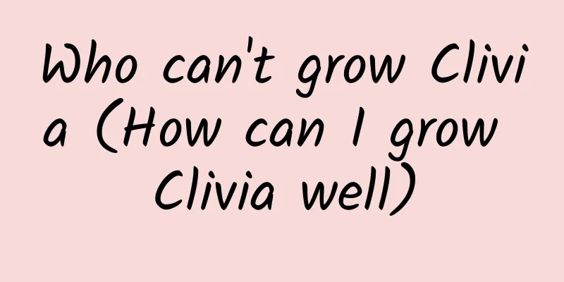Who can't grow Clivia (How can I grow Clivia well)