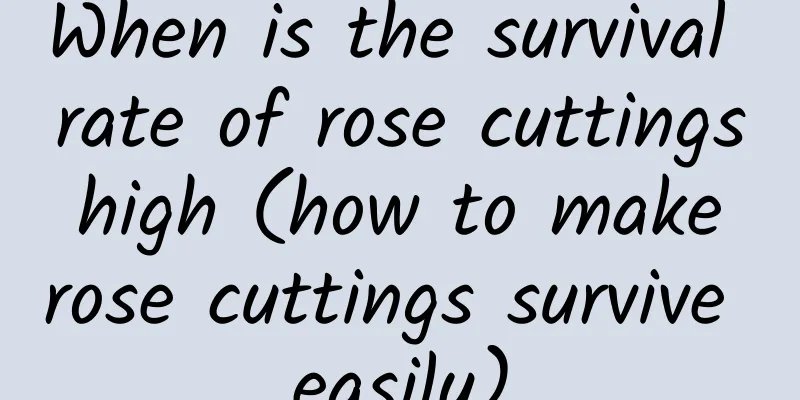 When is the survival rate of rose cuttings high (how to make rose cuttings survive easily)