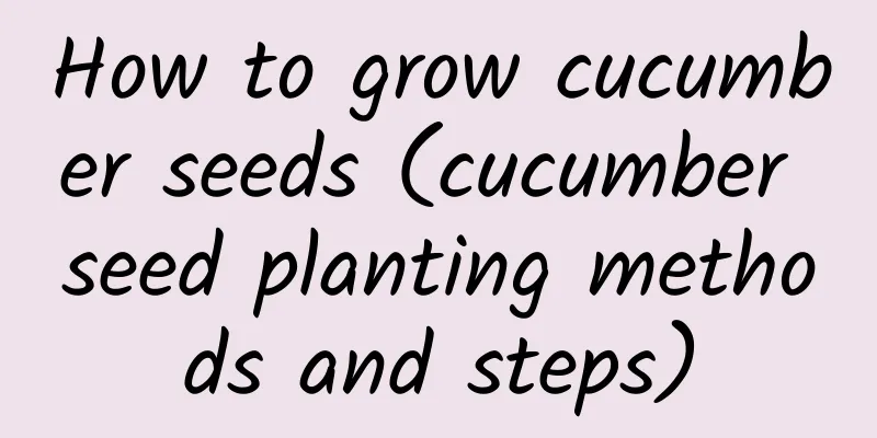 How to grow cucumber seeds (cucumber seed planting methods and steps)