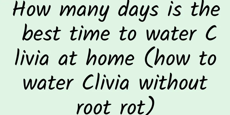 How many days is the best time to water Clivia at home (how to water Clivia without root rot)