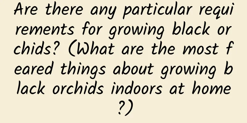 Are there any particular requirements for growing black orchids? (What are the most feared things about growing black orchids indoors at home?)