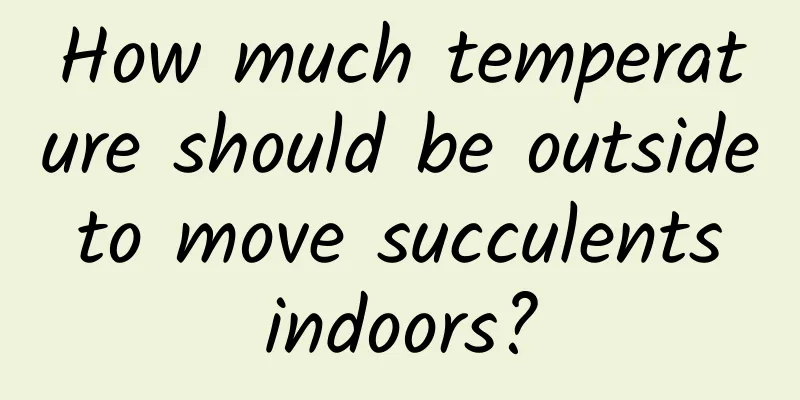How much temperature should be outside to move succulents indoors?