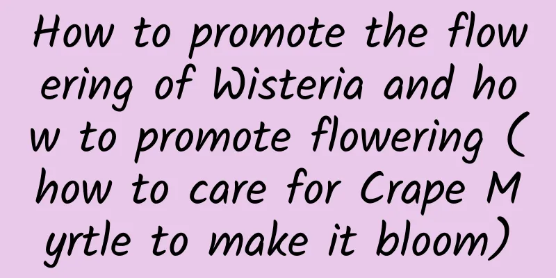 How to promote the flowering of Wisteria and how to promote flowering (how to care for Crape Myrtle to make it bloom)