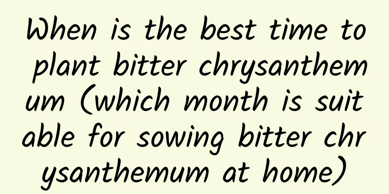 When is the best time to plant bitter chrysanthemum (which month is suitable for sowing bitter chrysanthemum at home)