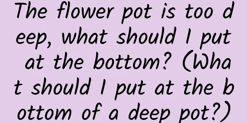 The flower pot is too deep, what should I put at the bottom? (What should I put at the bottom of a deep pot?)