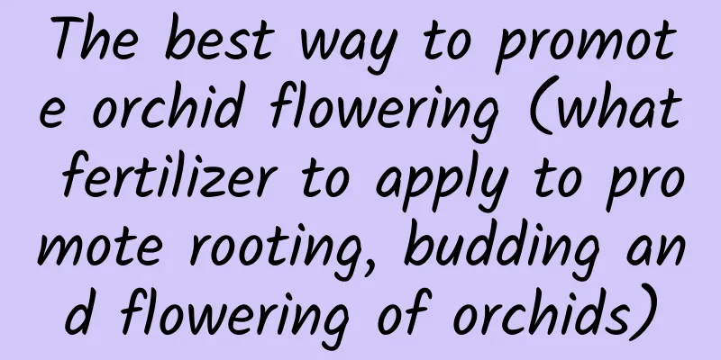 The best way to promote orchid flowering (what fertilizer to apply to promote rooting, budding and flowering of orchids)