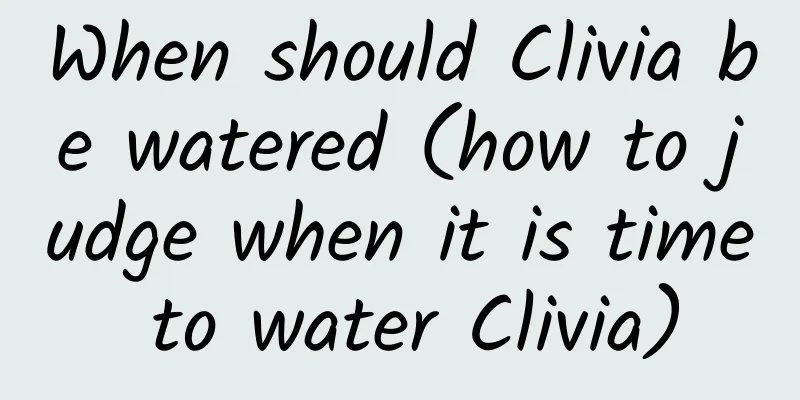 When should Clivia be watered (how to judge when it is time to water Clivia)