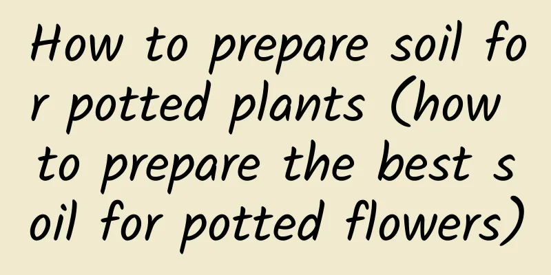 How to prepare soil for potted plants (how to prepare the best soil for potted flowers)