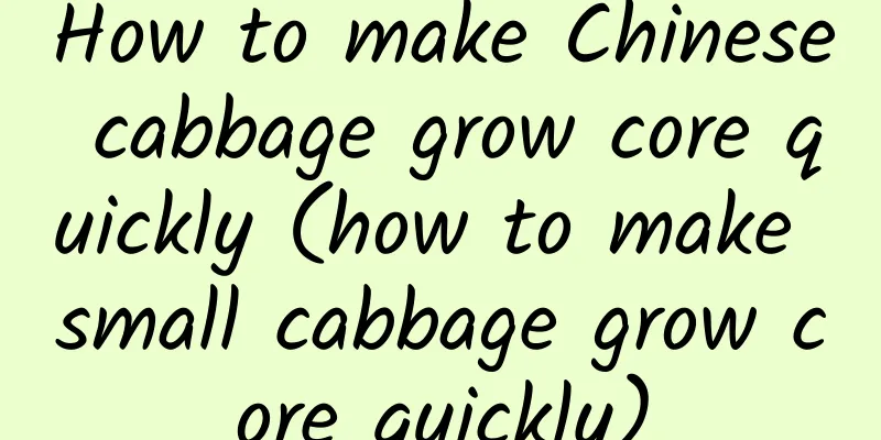 How to make Chinese cabbage grow core quickly (how to make small cabbage grow core quickly)