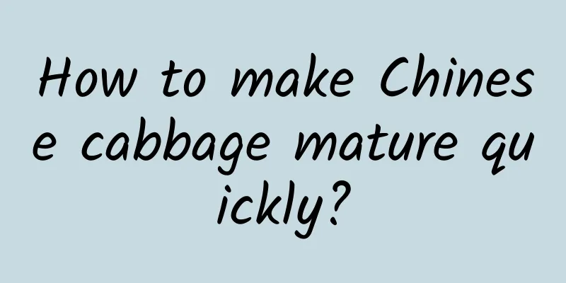 How to make Chinese cabbage mature quickly?