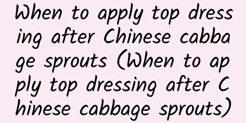 When to apply top dressing after Chinese cabbage sprouts (When to apply top dressing after Chinese cabbage sprouts)