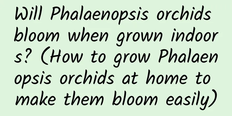 Will Phalaenopsis orchids bloom when grown indoors? (How to grow Phalaenopsis orchids at home to make them bloom easily)