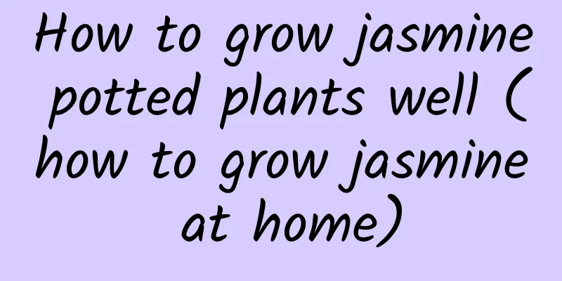 How to grow jasmine potted plants well (how to grow jasmine at home)
