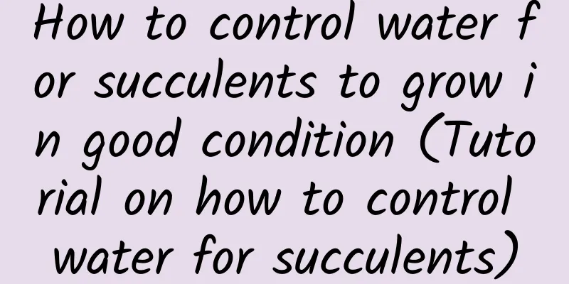 How to control water for succulents to grow in good condition (Tutorial on how to control water for succulents)