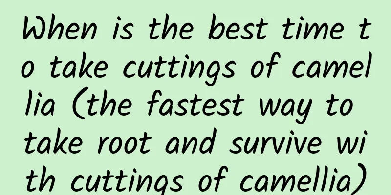 When is the best time to take cuttings of camellia (the fastest way to take root and survive with cuttings of camellia)