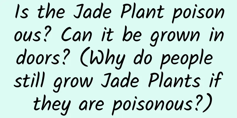 Is the Jade Plant poisonous? Can it be grown indoors? (Why do people still grow Jade Plants if they are poisonous?)