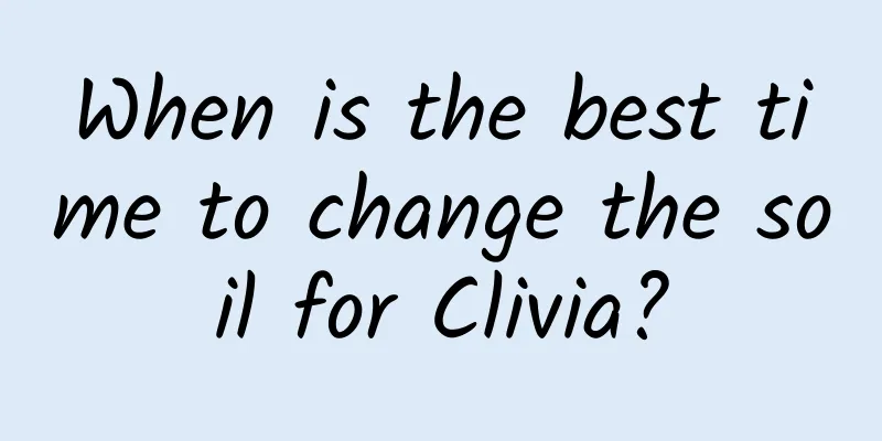 When is the best time to change the soil for Clivia?