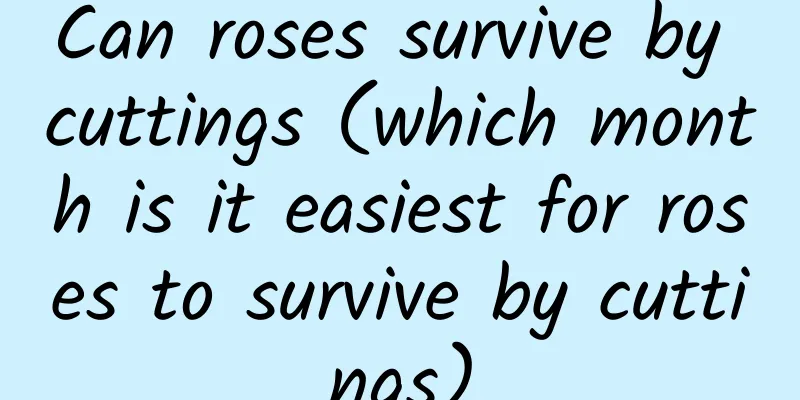 Can roses survive by cuttings (which month is it easiest for roses to survive by cuttings)