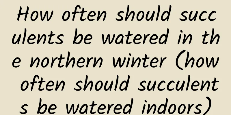 How often should succulents be watered in the northern winter (how often should succulents be watered indoors)