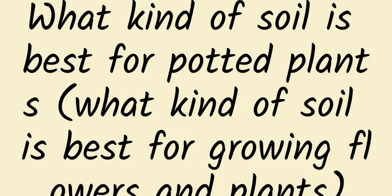 What kind of soil is best for potted plants (what kind of soil is best for growing flowers and plants)