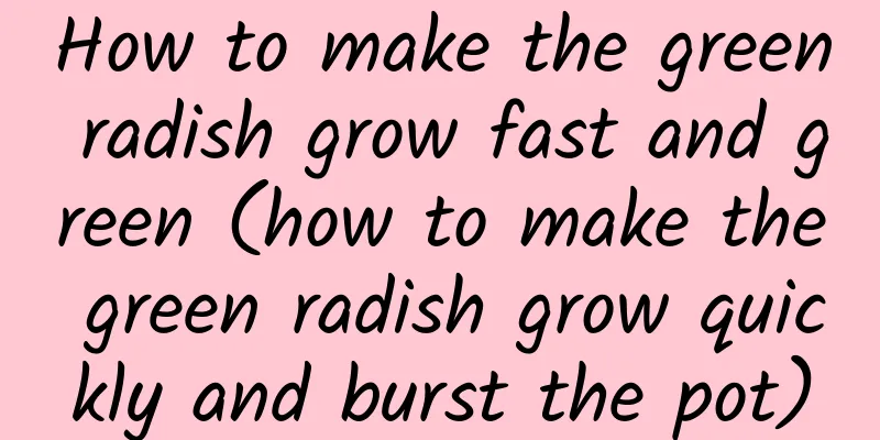 How to make the green radish grow fast and green (how to make the green radish grow quickly and burst the pot)